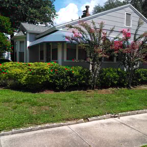 Bush Trimming by Mowtivated Landscaping reviewed on August 17, 2025