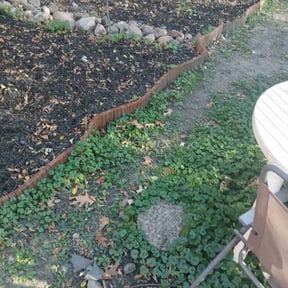 Flower Bed Weeding by Quion&#039;s Multi Services reviewed on November 22, 2025