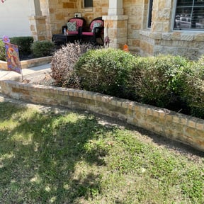 Bush Trimming by KD lawn service reviewed on August 21, 2025