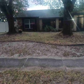 Leaf Removal by Concept cutz reviewed on February 16, 2026