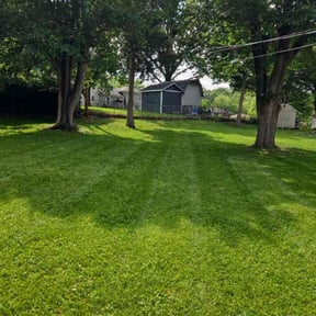 yard work by All Around the House Services reviewed on August 20, 2025