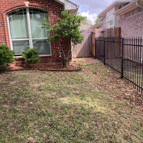 Bush Trimming by EZGO Lawn Services LLC reviewed on April 16, 2026