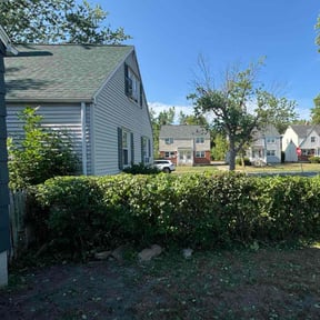 Bush Trimming by Ronnie Thacker reviewed on August 17, 2025