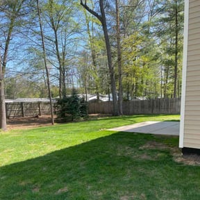 yard care by John serbin reviewed on April 30, 2025