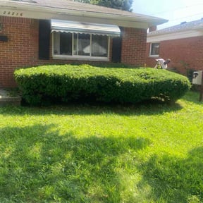 Bush Trimming by J &amp; F General Contractor LLC reviewed on November 22, 2025