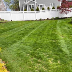 landscape maintenance by Salterscapes reviewed on August 21, 2025