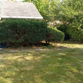 Bush Trimming by Wildflower Lawn Care Company reviewed on September 13, 2026