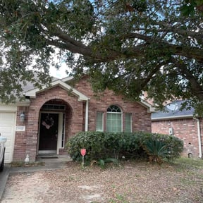 Bush Trimming by HTx Landscaping Services reviewed on August 19, 2025