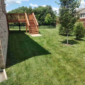 landscaping by Quickcutz Landscaping reviewed on August 15, 2025