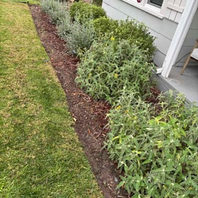 Flower Bed Weeding by I Do It All reviewed on January 27, 2026