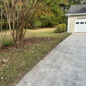 Leaf Removal by CostCutting lawncare reviewed on November 21, 2025