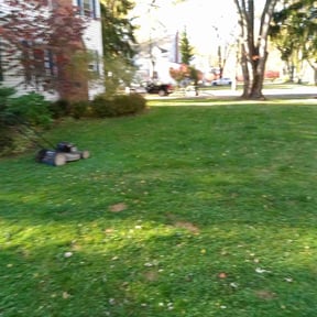 Leaf Removal by The Indelible Experience reviewed on August 16, 2025