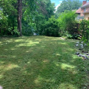 Flower Bed Weeding by John's Lawn Care reviewed on August 17, 2025