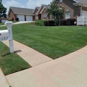 turf care by TG CLEANING COMPANY LLC reviewed on July 9, 2025