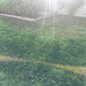 Bush Trimming by Commerce Development Partnership LLC reviewed on December 11, 2025