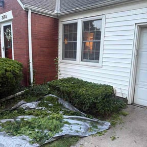 Bush Trimming by Godwin Clean &amp; Green LLC reviewed on July 18, 2026