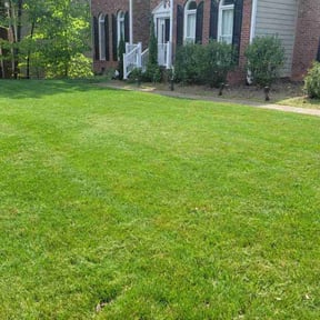 landscaping by CMAssociation reviewed on November 27, 2025