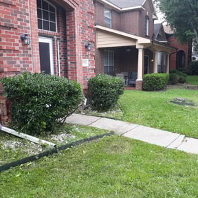 Bush Trimming by K&amp;K Green Grass reviewed on April 19, 2024