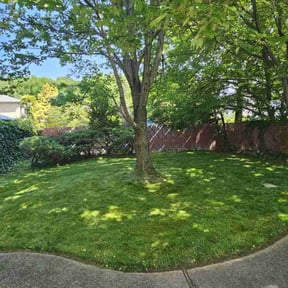 Long Grass Cleanup by Jackman's Lawn Care reviewed on August 20, 2025