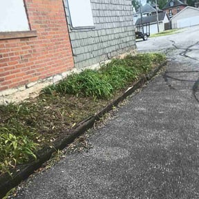Leaf Removal by Harmony reviewed on May 23, 2026