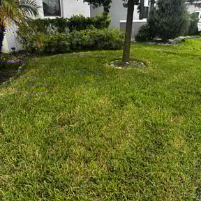 landscape maintenance by N.A.L Landscaping and Services LLC reviewed on August 13, 2025