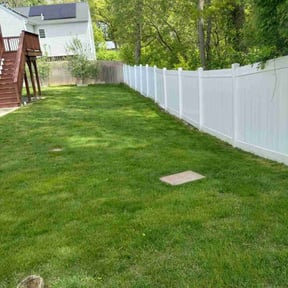 Leaf Removal by Cindy's lawn care reviewed on August 17, 2025
