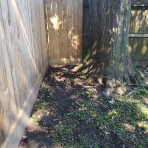 Leaf Removal by Prince Liquidation reviewed on September 24, 2025