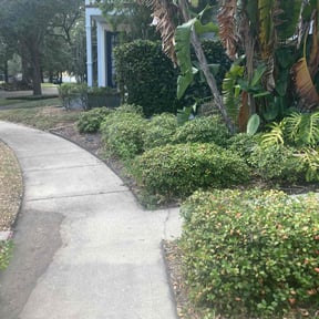 Bush Trimming by F&amp;M LAWNCARE reviewed on November 22, 2025