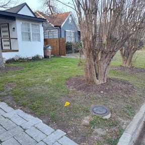 Leaf Removal by MJ Lawn reviewed on January 1, 2026