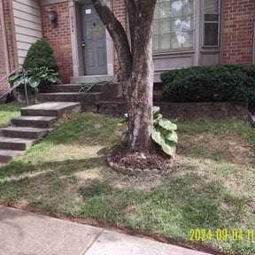 Mulching by AG lawn service reviewed on August 20, 2025