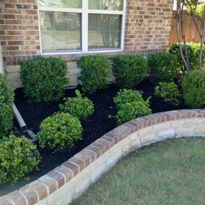 Mulching by Mahan lawn care reviewed on August 16, 2025