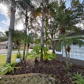 Bush Trimming by Wow Lawn Care reviewed on October 22, 2025