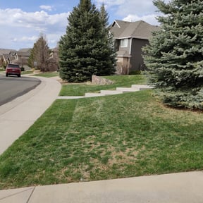 Bush Trimming by Steve’s mowing company reviewed on November 22, 2025