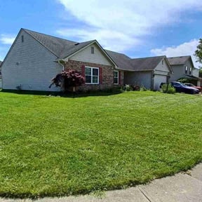 turf care by T&amp;M Lawn Services reviewed on May 10, 2024