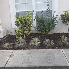 Flower Bed Weeding by Pelaytheinum A Kirkland Adams reviewed on August 18, 2025