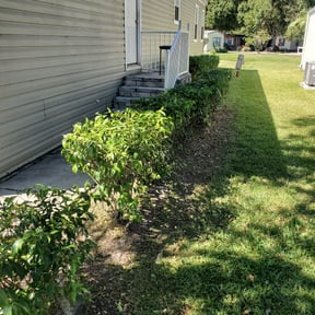 Bush Trimming by Brian The Yard Barber LLC reviewed on August 15, 2025