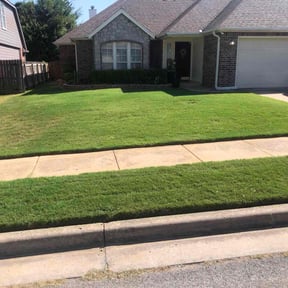 yard work by Álvarez Landscaping & Remodeling LLC reviewed on August 18, 2025