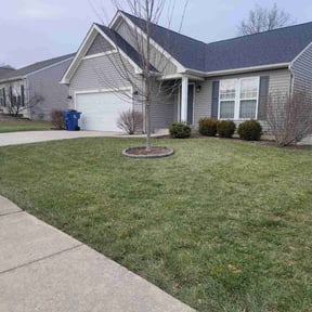 Leaf Removal by Clean Cut Land Management reviewed on December 23, 2025