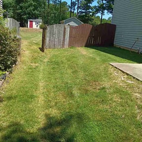 Bush Trimming by GreenFingers reviewed on June 9, 2026