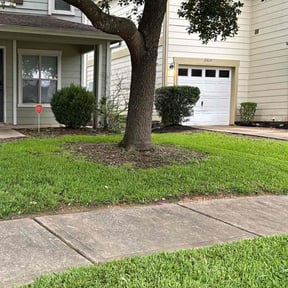 lawn maintenance by AG lawn service reviewed on August 19, 2025