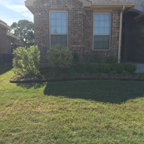 Bush Trimming by SENDER LAWN CARE and SERVICES LLC. reviewed on August 17, 2025