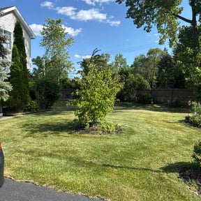 gardening service by Jhon's Landscaping reviewed on August 17, 2025