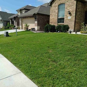 lawn maintenance by M&M lawn care reviewed on May 9, 2024