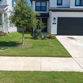 turf maintenance by Nature&#039;s Touch reviewed on August 21, 2025