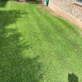 Cleanups by D&J Lawn Care reviewed on August 15, 2025