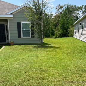 turf care by Green Grass and Sunshine reviewed on March 17, 2025