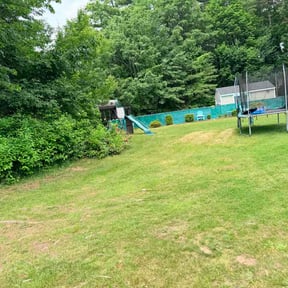 Leaf Removal by Handy Jim Dandy reviewed on June 14, 2026