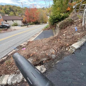 Leaf Removal by Greenwood Irrigation &amp; Lawn Care LLC reviewed on October 24, 2025