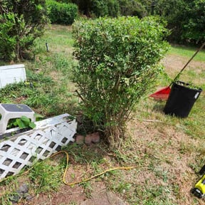 Bush Trimming by GreenJax Lawn Care reviewed on November 26, 2025