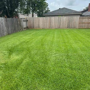 yard care by Lewis Lawn reviewed on August 15, 2025
